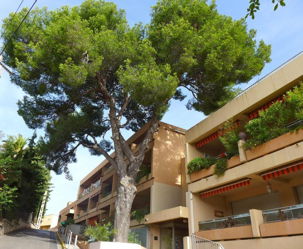 Studio Bandol Centre 2 Etoiles Ideal Emplacement المظهر الخارجي الصورة